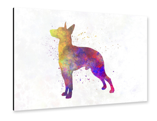 Alu-Dibond "Manchester Terrier in watercolor" 30x20 cm artboxONE