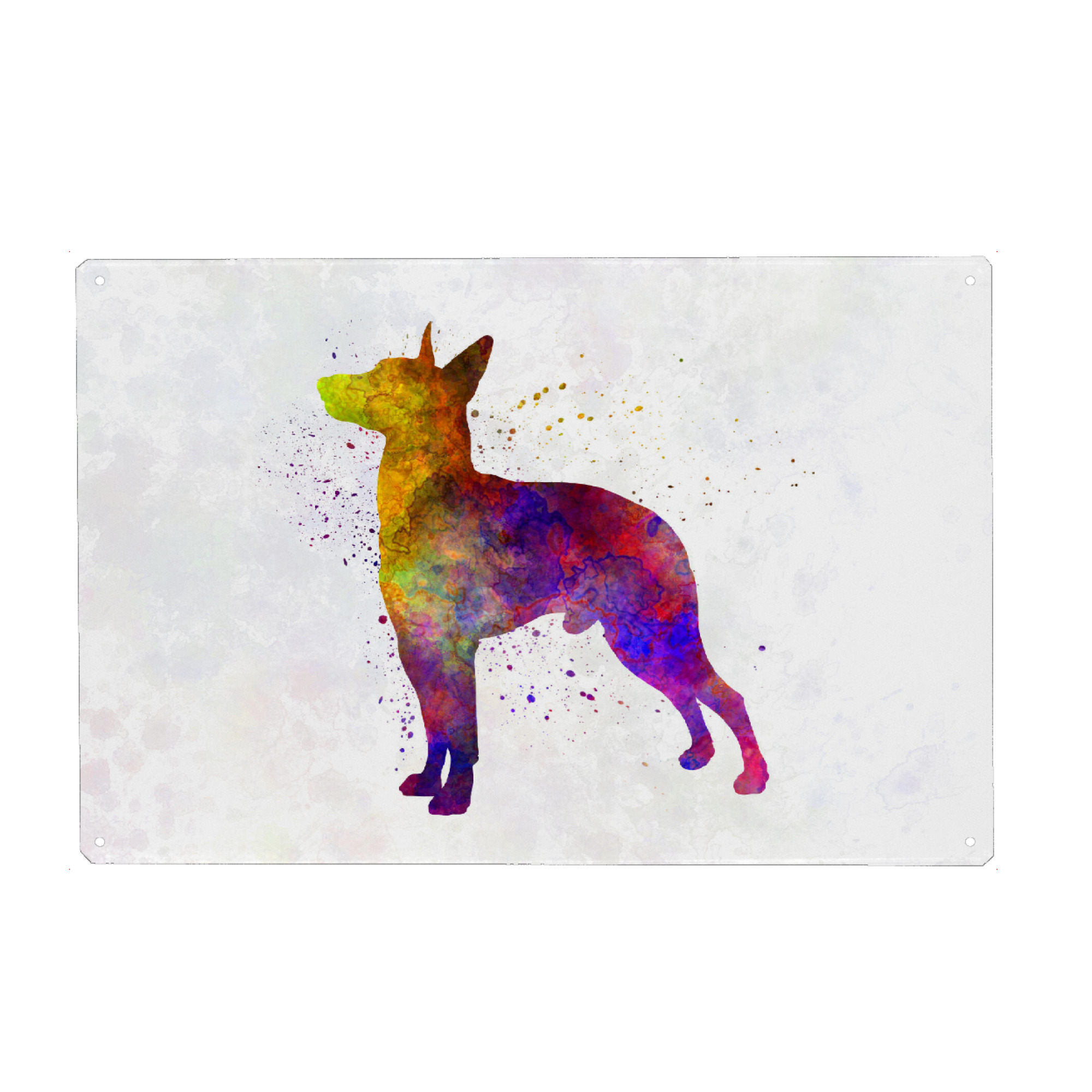 Metall Poster "Manchester Terrier in watercolor" artboxONE - Tiere,Abstrakt