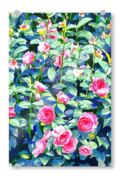 Acrylglasbild "Winter Rose | Botanical Floral" artboxONE - Floral