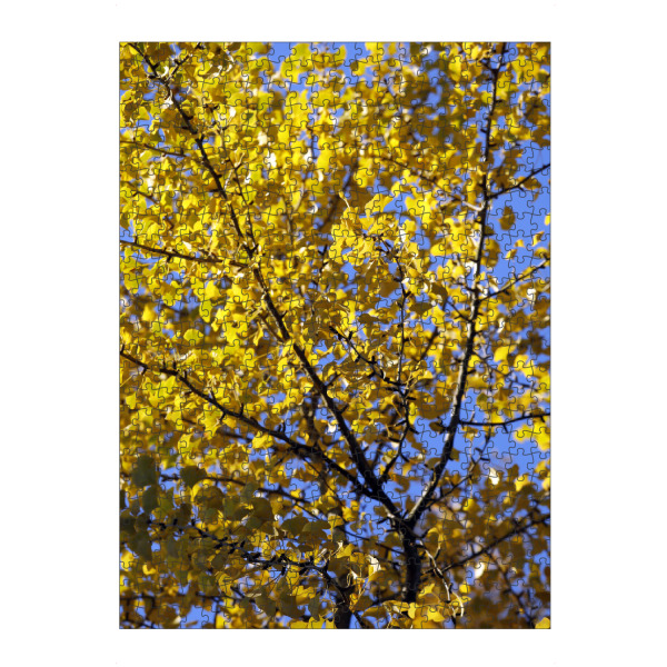 artboxONE Puzzle "Ginkgo Baum mit gelben Blättern" artboxONE - Natur,Floral,Abstrakt,Reise / Asien