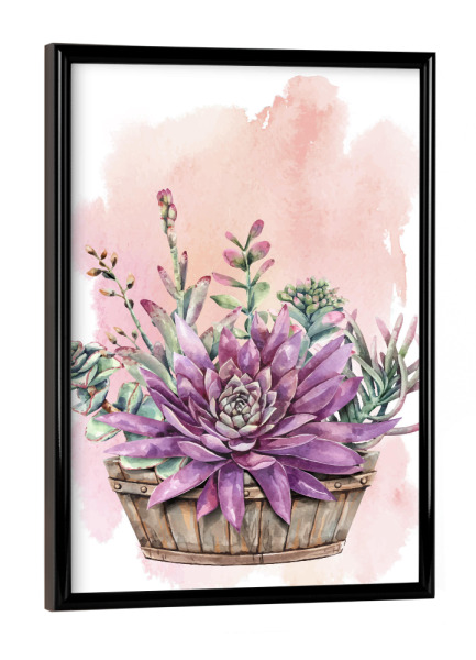 Poster mit schwarzem Rahmen "Sukkulenten im Bottich" artboxONE - Natur,Floral - Bottich,Pflanze,Sukkulente,Blühen,Flora,Natur,Blumen,Flowers,Floral