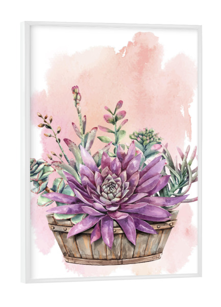 Poster mit weißem Rahmen "Sukkulenten im Bottich" artboxONE - Natur,Floral - Bottich,Pflanze,Sukkulente,Blühen,Flora,Natur,Blumen,Flowers,Floral