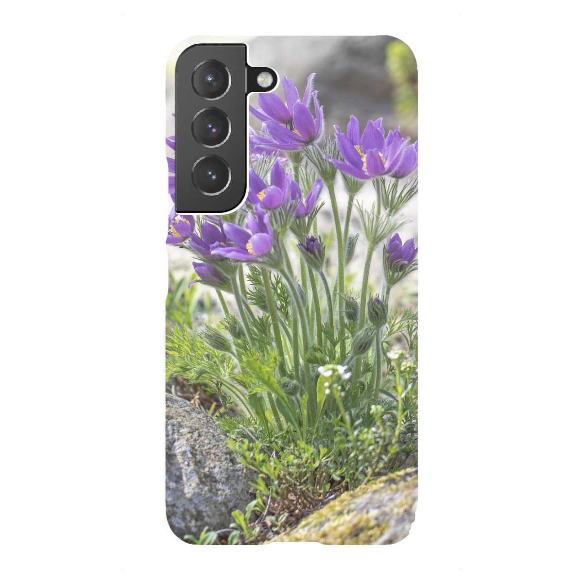 "Kuhschellen"für Samsung Galaxy - Premium-Case Handyhülle artboxONE