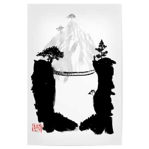 Monkey bridge