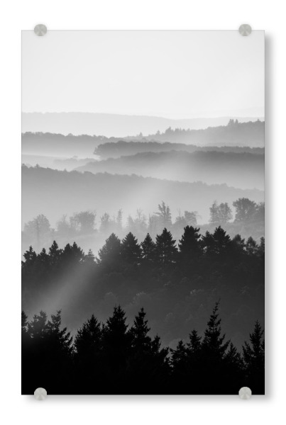 Acrylglasbild "Waldsilhouetten S&W" artboxONE - Natur,Schwarzweiß