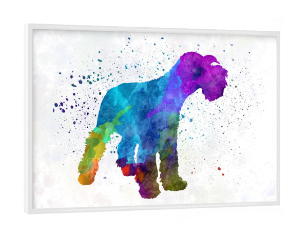 Poster mit weißem Rahmen "Miniature Schnauzer in watercolor" artboxONE - Tiere,Abstrakt