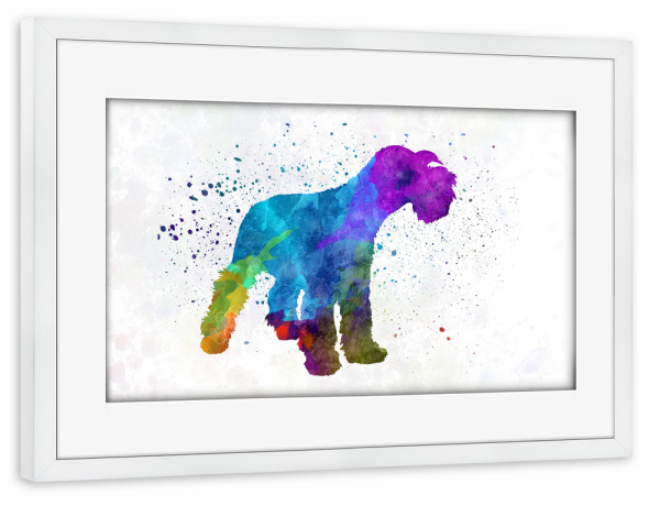 Poster mit Rahmen weiß "Miniature Schnauzer in watercolor" artboxONE - Tiere,Abstrakt