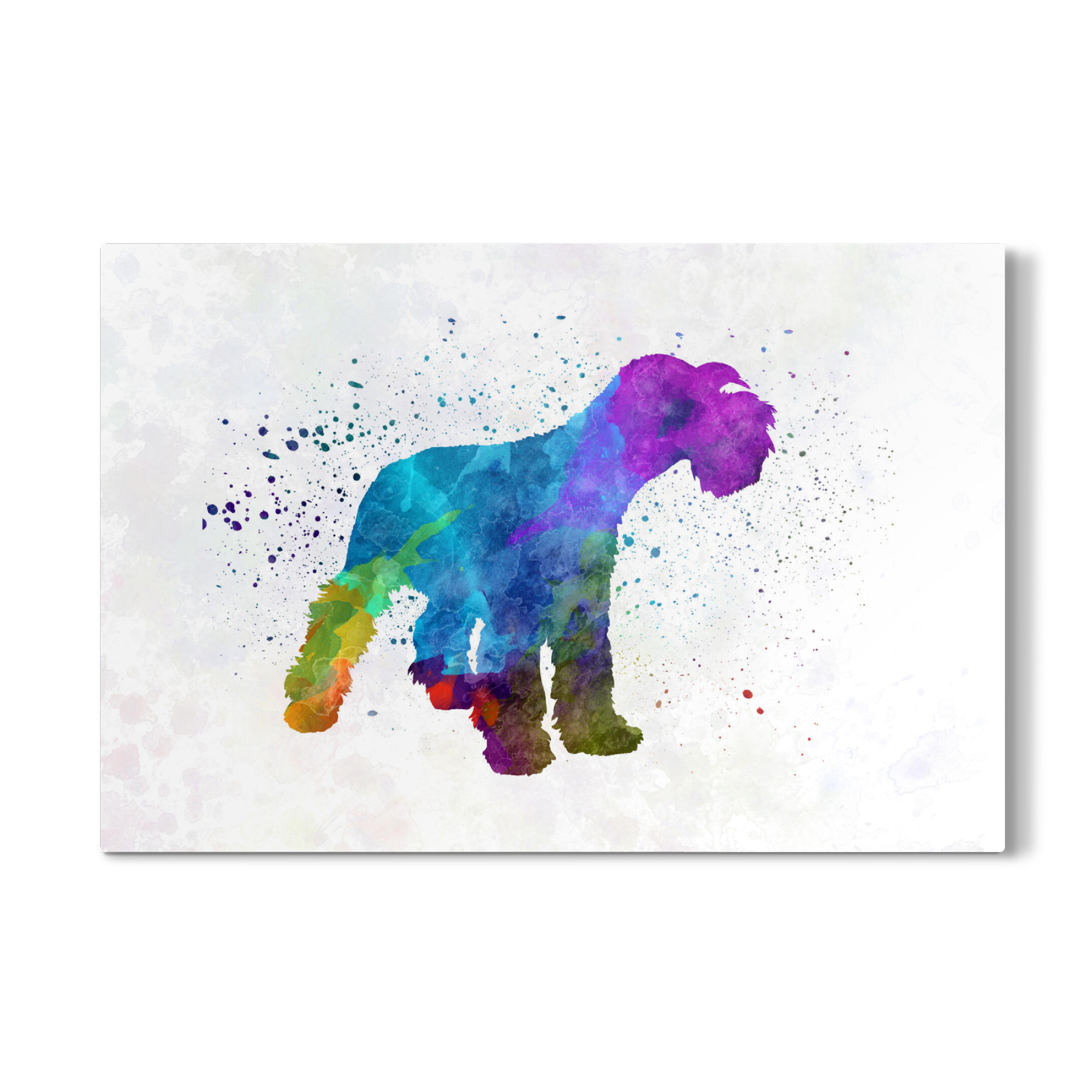 Galerie-Print "Miniature Schnauzer in watercolor" 30x20 cm artboxONE