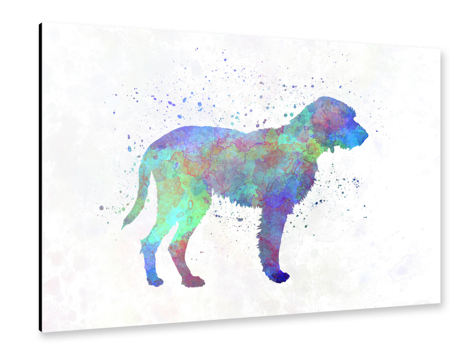Alu-Dibond "Fawn Brittany Griffon watercolor" 30x20 cm artboxONE