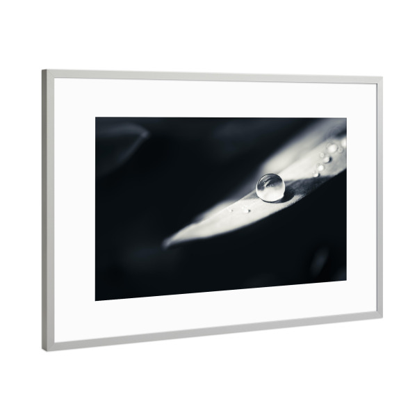 Poster mit Rahmen Silber "After Rain" artboxONE - Natur,Floral,Schwarzweiß