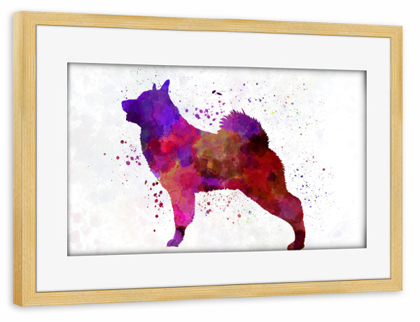 Poster mit Rahmen kiefer "Norwegian Elkhound in watercolor" artboxONE - Tiere,Abstrakt