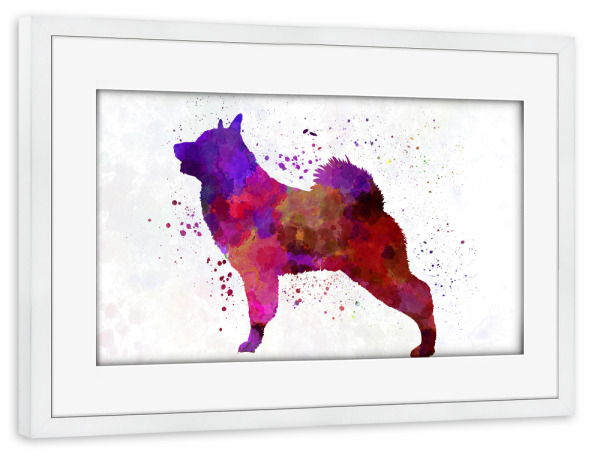 Poster mit Rahmen weiß "Norwegian Elkhound in watercolor" artboxONE - Tiere,Abstrakt
