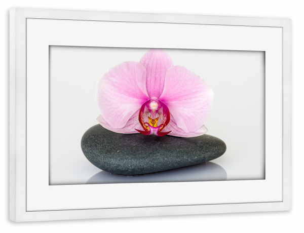 Poster mit Rahmen weiß "Orchidee auf Steine" artboxONE - Natur,Floral