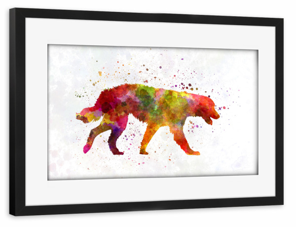 Poster mit Rahmen schwarz "Maremma Abruzzes Sheepdog" artboxONE - Tiere,Abstrakt