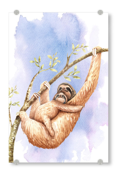 Acrylglasbild "Faultier und junges am Ast" artboxONE - Natur,Tiere