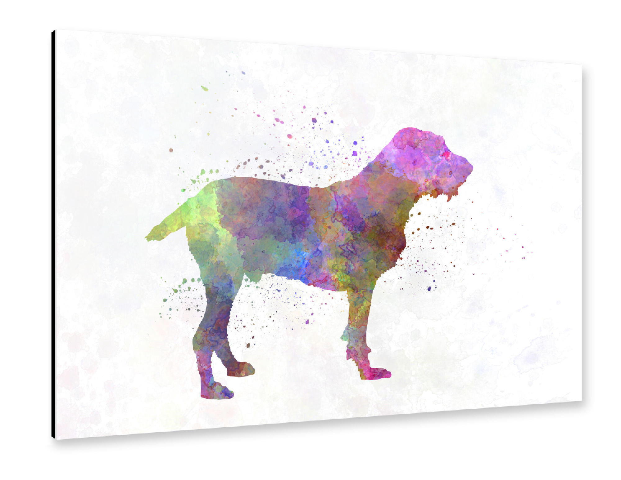 Alu-Dibond "Spinone in watercolor" 30x20 cm artboxONE