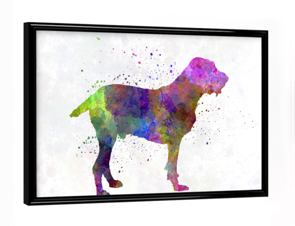 Poster mit schwarzem Rahmen "Spinone in watercolor" artboxONE - Tiere,Abstrakt