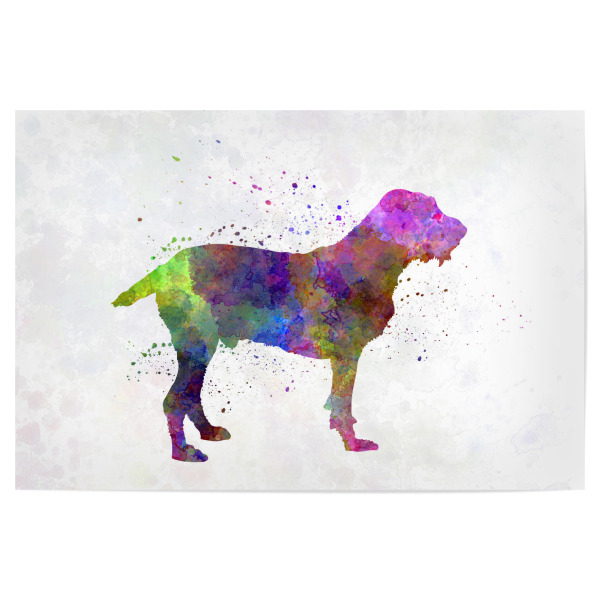 Poster "Spinone in watercolor" artboxONE - Tiere,Abstrakt - Dog,Pet,Animal,Mammal,Watercolor,Abstract,Abstrakt,Bunt,Colorful,Hund