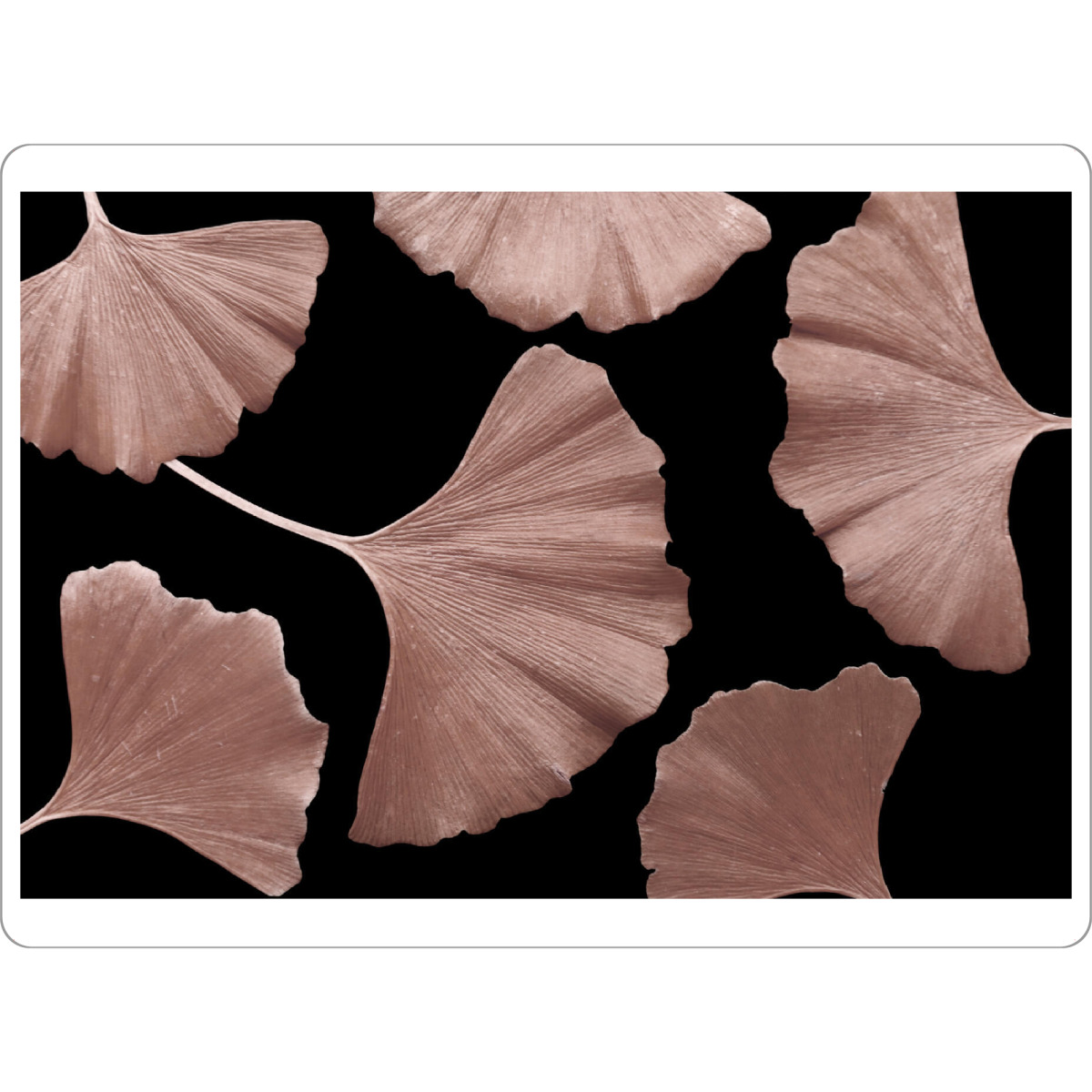 Tischset "Ginkgo Blätter Braunrot" artboxONE - Natur,Floral,Abstrakt