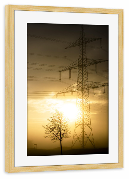 Poster mit Rahmen kiefer "Power And Nature" artboxONE - Natur,Floral,Architektur