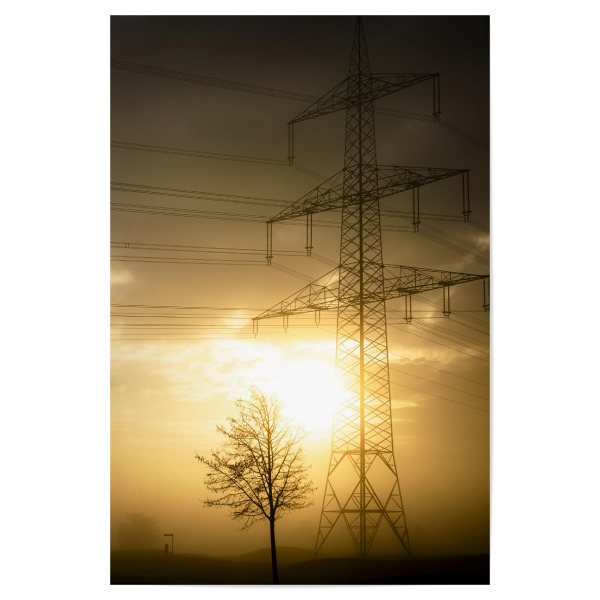 Poster "Power And Nature" artboxONE - Natur,Floral,Architektur