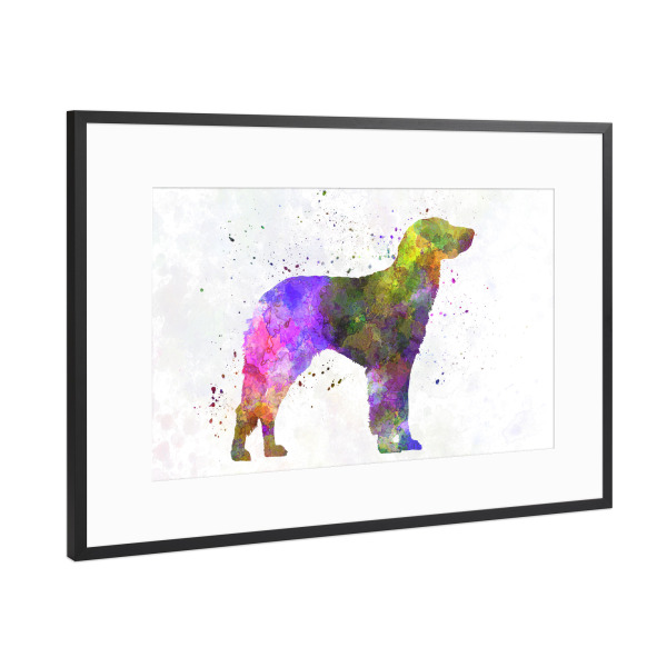 Poster mit Rahmen Schwarz (Metallic) "German Longhaired Pointer dog" artboxONE - Tiere,Abstrakt