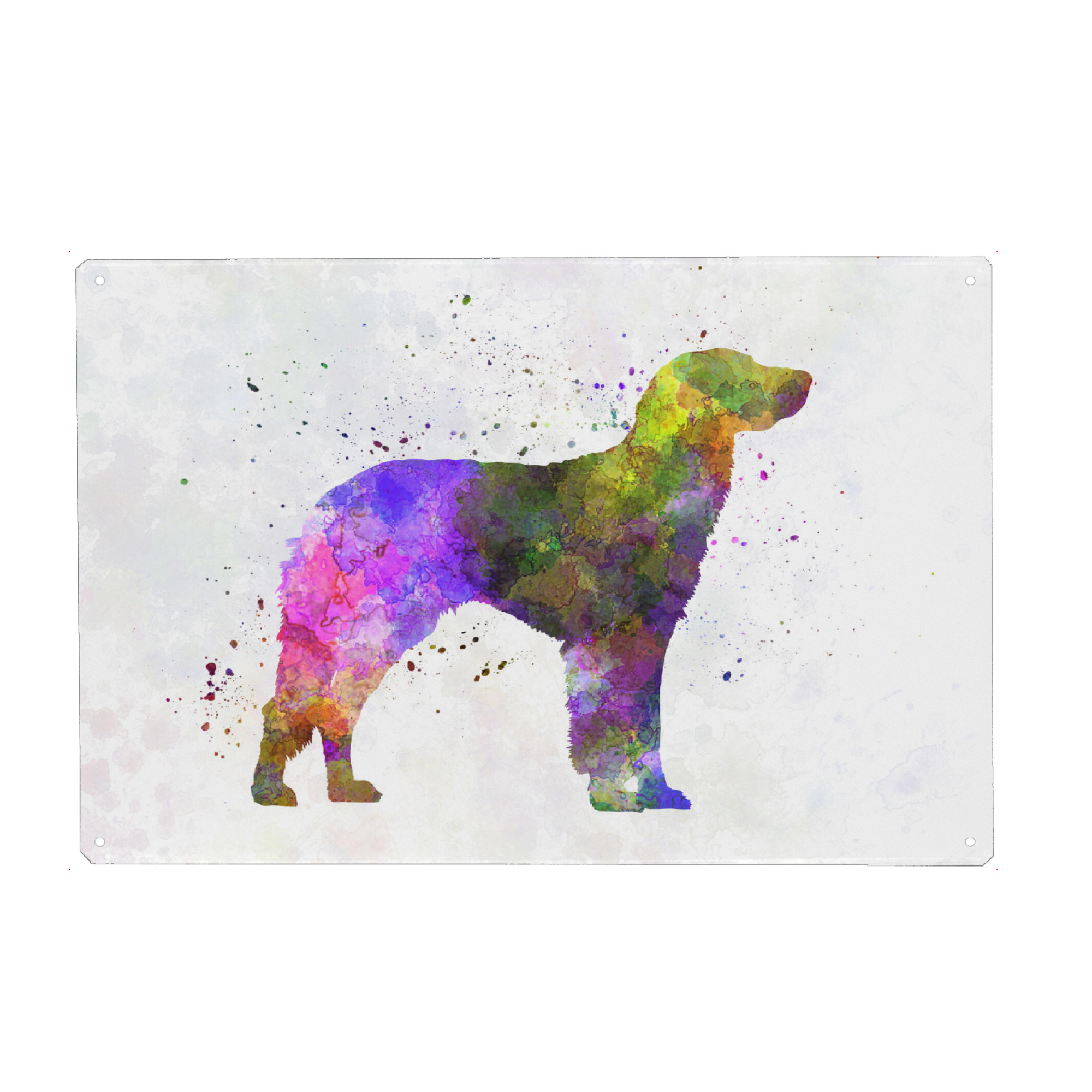 Metall Poster "German Longhaired Pointer dog" artboxONE - Tiere,Abstrakt