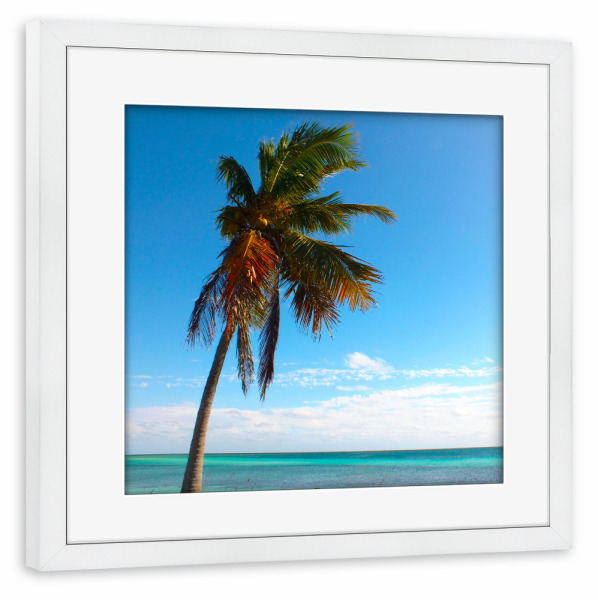 Poster mit Rahmen weiß "Eine Kokospalme am Meer" artboxONE - Natur,Reise,Reise / Strand und Meer,Reise / Asien,Reise / Länder