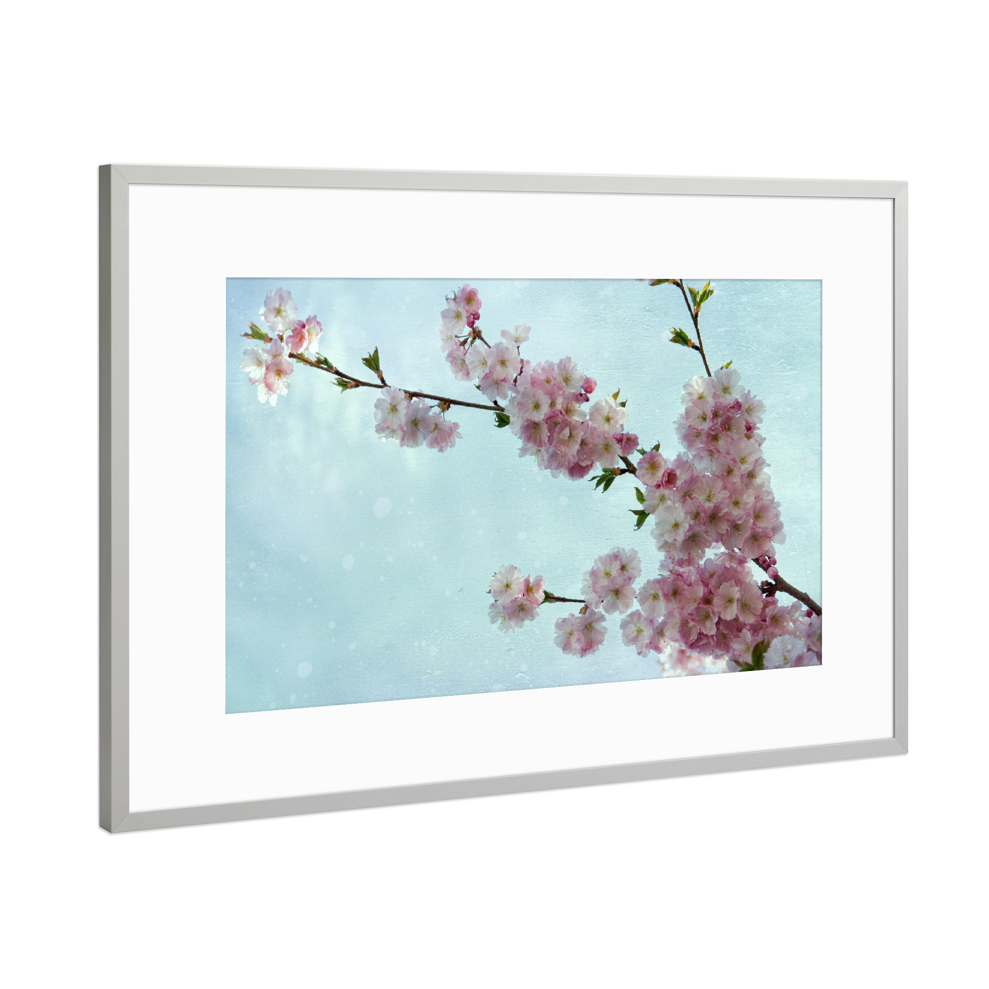 Poster mit Rahmen Silber "Fühlingsbüten" artboxONE - Floral