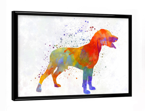Poster mit schwarzem Rahmen "Save Valley Scenthound dog" artboxONE - Tiere,Abstrakt - Dog,Pet,Animal,Mammal,Watercolor,Abstract,Hund,Bunt,Colorful