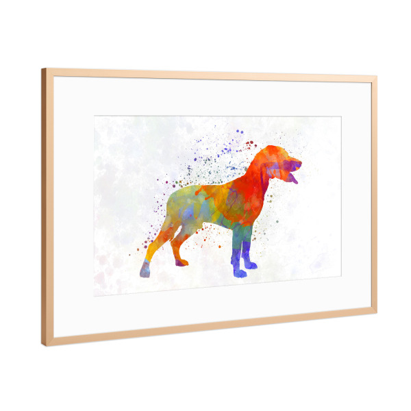 Poster mit Rahmen Kupfer "Save Valley Scenthound dog" artboxONE - Tiere,Abstrakt - Dog,Pet,Animal,Mammal,Watercolor,Abstract,Hund,Bunt,Colorful
