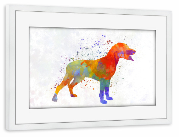 Poster mit Rahmen weiß "Save Valley Scenthound dog" artboxONE - Tiere,Abstrakt - Dog,Pet,Animal,Mammal,Watercolor,Abstract,Hund,Bunt,Colorful