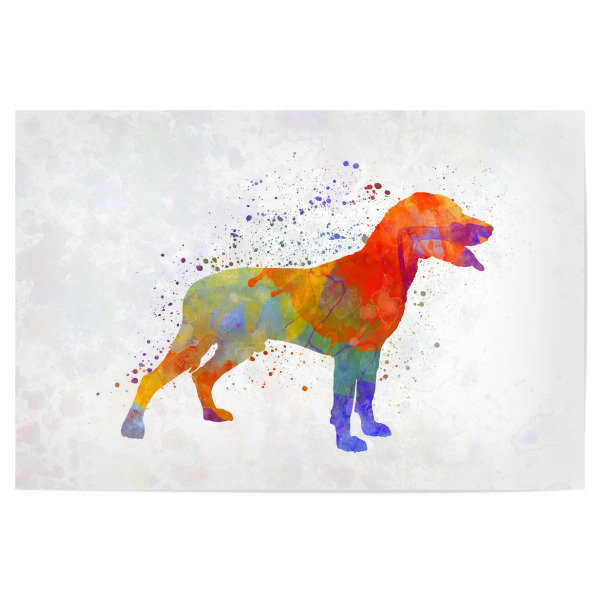 Poster "Save Valley Scenthound dog" artboxONE - Tiere,Abstrakt - Dog,Pet,Animal,Mammal,Watercolor,Abstract,Hund,Bunt,Colorful
