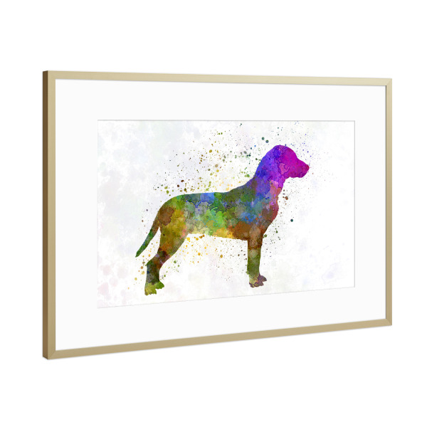 Poster mit Rahmen Gold "Slovakian Hound in watercolor" artboxONE - Tiere,Abstrakt - Dog,Pet,Animal,Mammal,Watercolor,Abstract,Hund,Bunt,Colorful