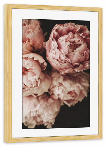 Poster mit Rahmen kiefer "Moody Pink Peonies" artboxONE - Natur,Floral,Liebe,Für Mama