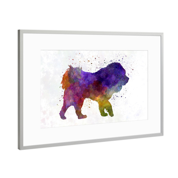 Poster mit Rahmen Silber "Tibetan Mastiff in watercolor" artboxONE - Tiere,Abstrakt