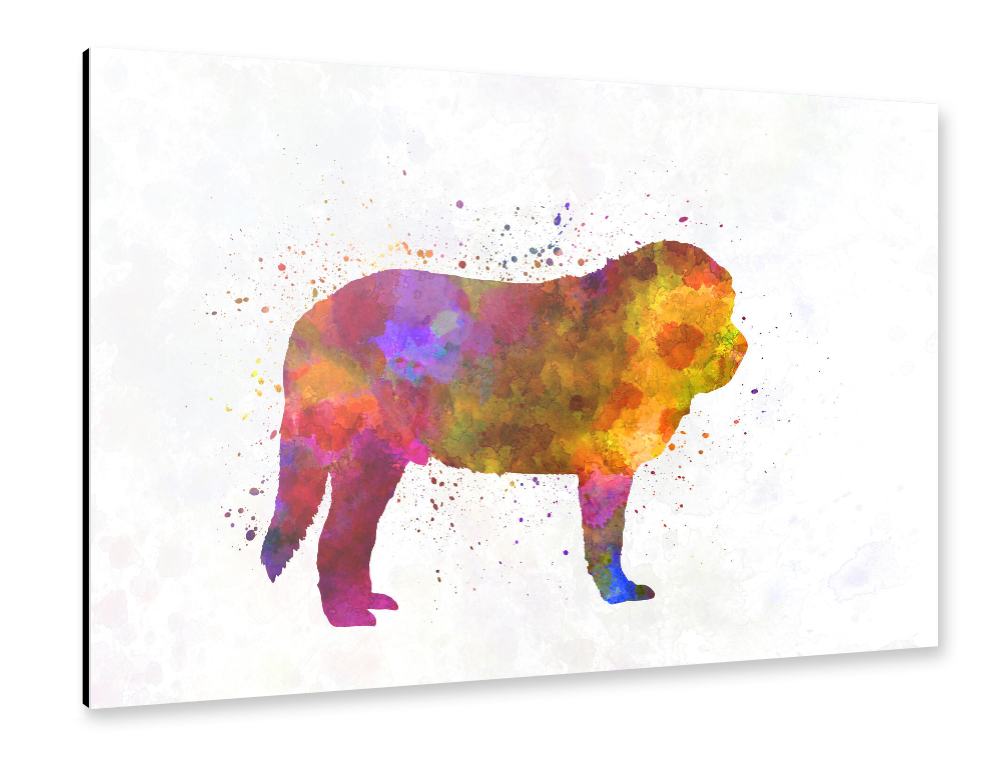 Alu-Dibond "Spanish Mastiff in watercolor" 75x50 cm artboxONE