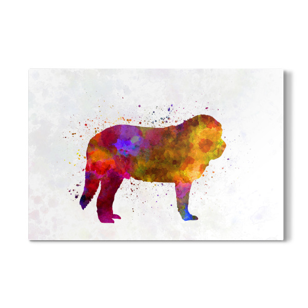 Galerie-Print "Spanish Mastiff in watercolor" 30x20 cm artboxONE