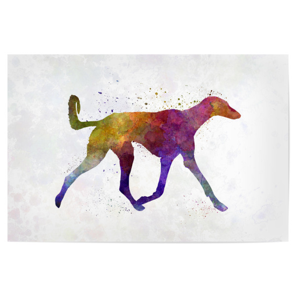 Poster 30x20 cm "Saluki in watercolor" artboxONE - Tiere,Abstrakt - Dog,Pet,Animal,Mammal,Watercolor,Illustration,Abstract,Hund,Bunt,Colorful