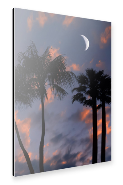 Alu-Dibond "Tropical Night" 30x20 cm artboxONE