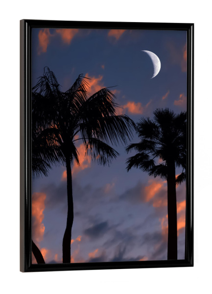 Poster mit schwarzem Rahmen "Tropical Night" artboxONE - Natur,Reise,Reise / Strand und Meer,Reise / Asien,Reise / Länder