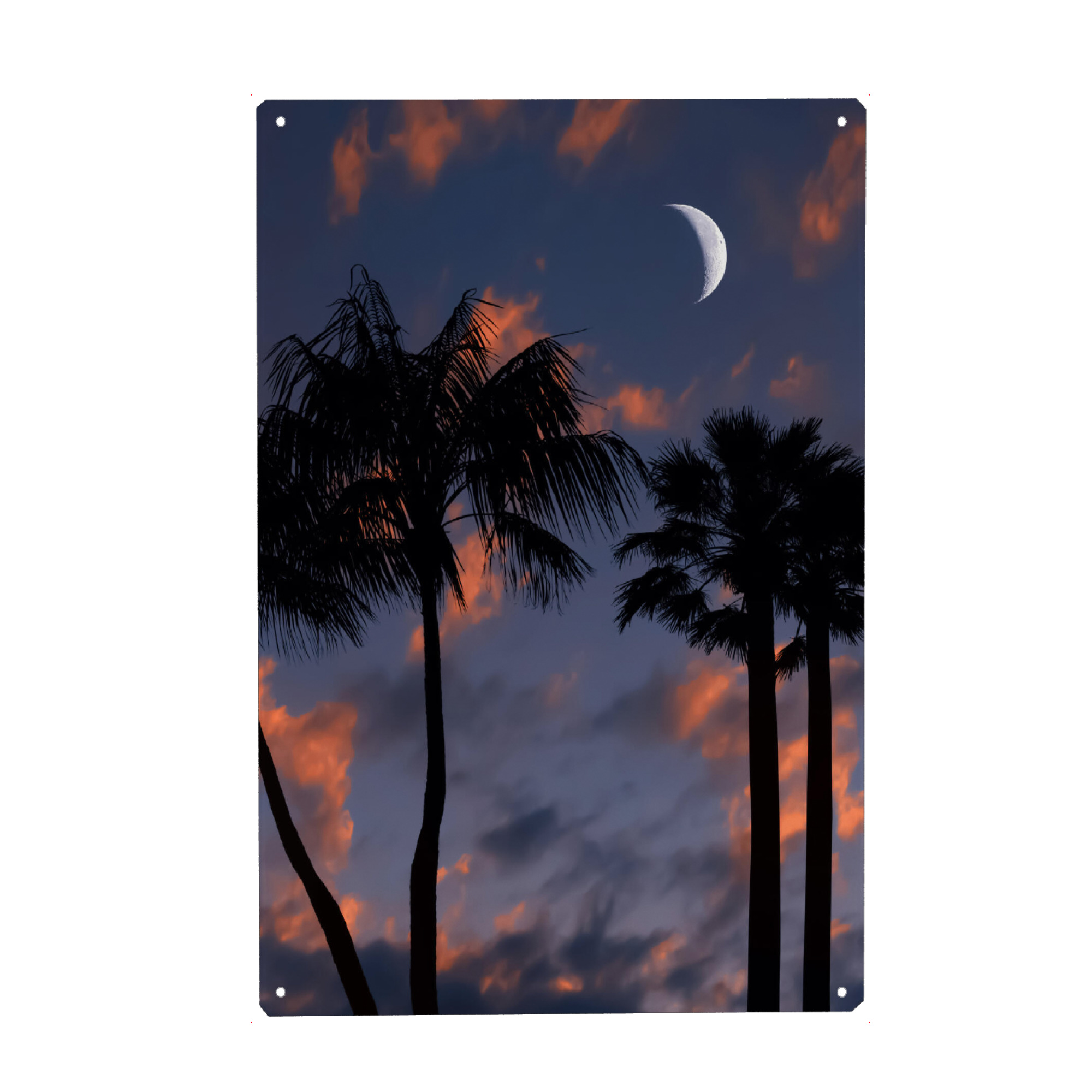 Holzbild "Tropical Night" artboxONE - Natur,Reise,Reise / Strand und Meer,Reise / Asien,Reise / Länder