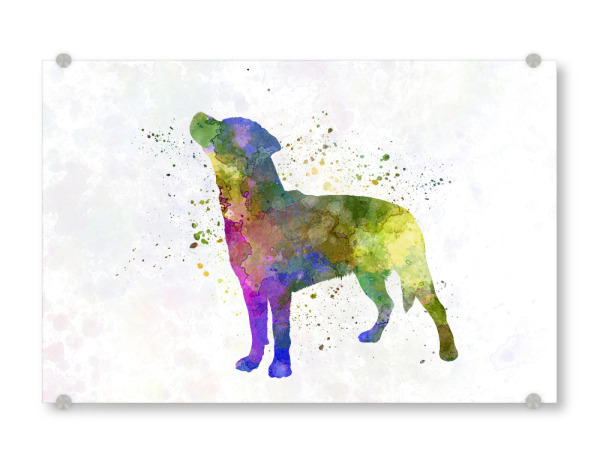 Acrylglasbild "Smalandsstovare in watercolor" artboxONE - Tiere,Abstrakt