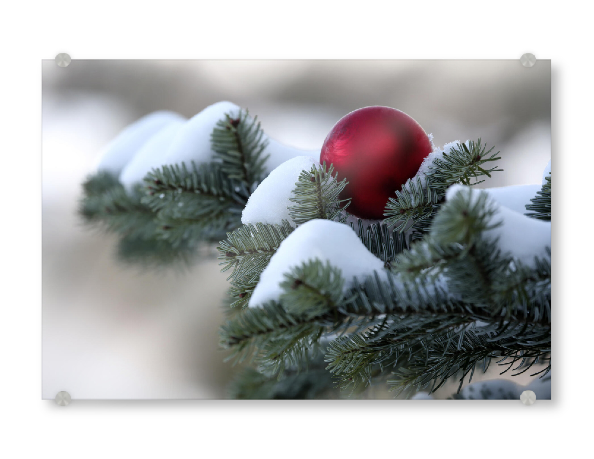 Acrylglasbild "Weiße Weihnachten" artboxONE - Natur,Weihnachten