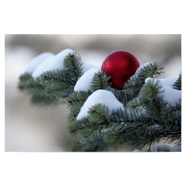 Poster "Weiße Weihnachten" artboxONE - Natur,Weihnachten