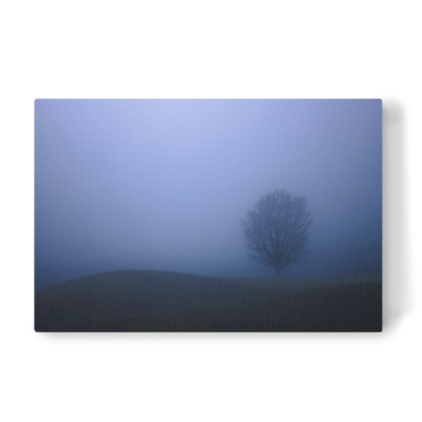 Leinwandbild "Lonesome" artboxONE - Natur,Floral,Für Papa