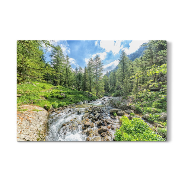 Galerie-Print "Into The Wild" 30x20 cm artboxONE