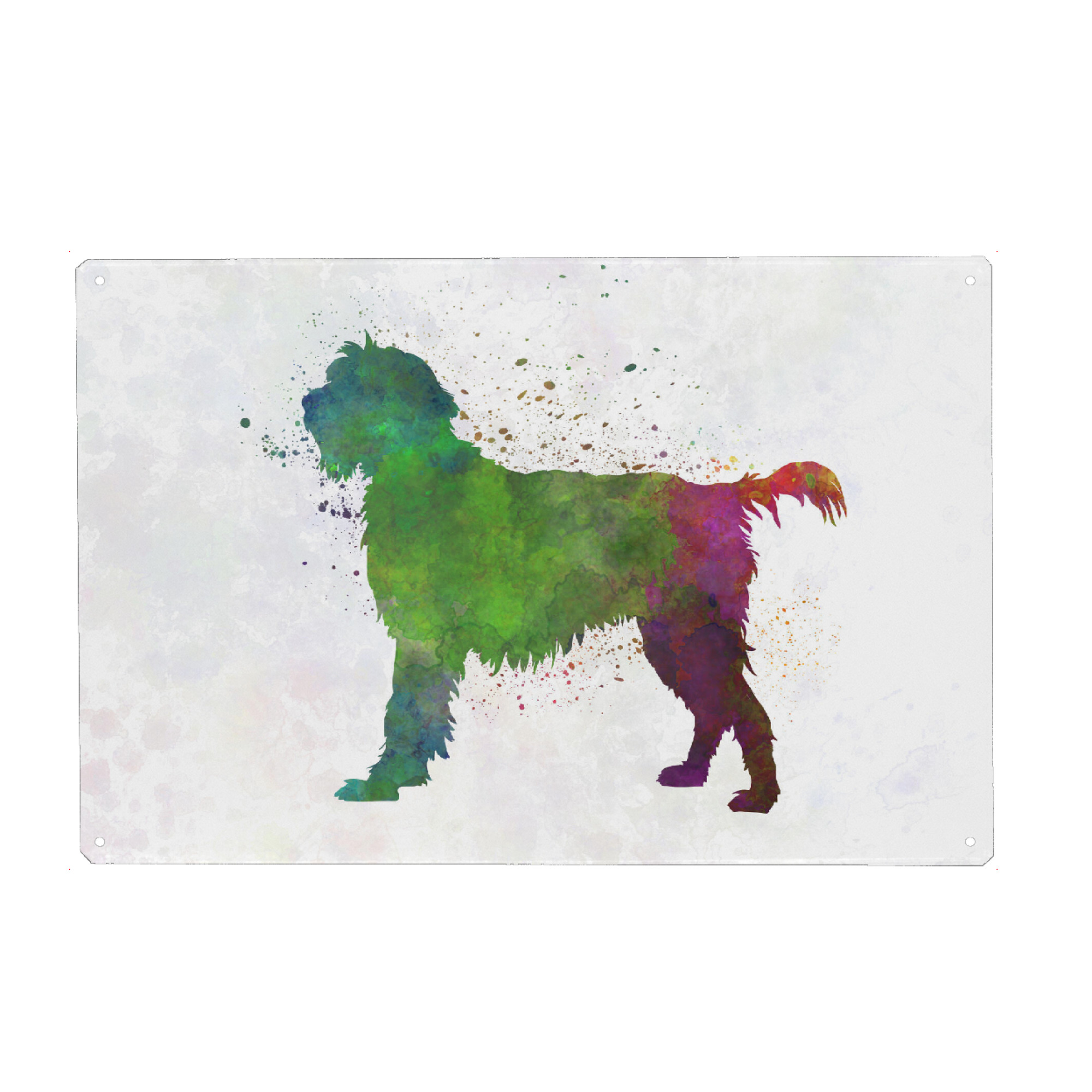 Metall Poster "Wirehaired Pointing Griffon" artboxONE - Tiere,Abstrakt - Dog,Pet,Animal,Mammal,Watercolor,Abstract,Abstrakt,Bunt,Colorful,Hund,Tier