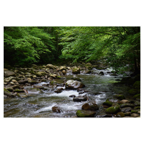 Poster "Der wilde Bach" artboxONE - Natur,Reise,Reise / Länder