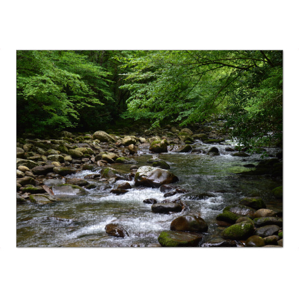 Puzzle Ravensburger "Der wilde Bach" artboxONE - Natur,Reise,Reise / Länder